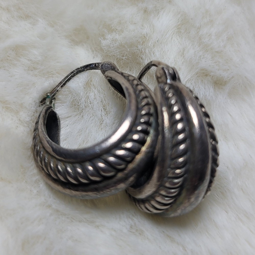 Elegant Silver Hoop Earrings